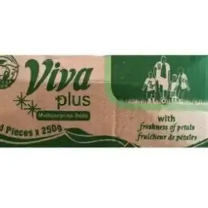 Carton Of Viva Plus Multipurpose Bar Soap 250g x 24